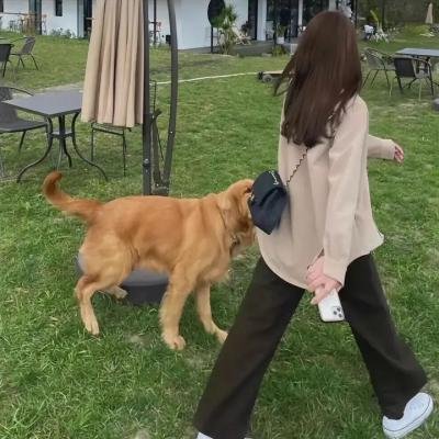 我是江小白第二季